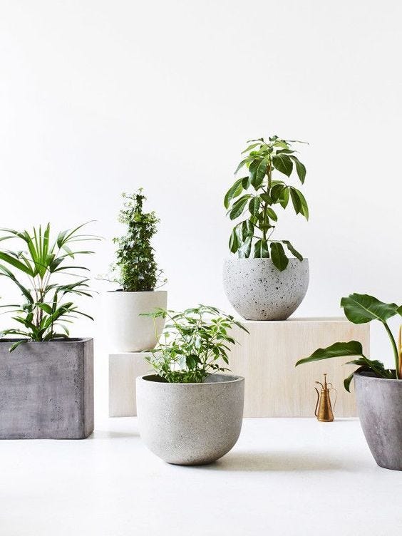 Top Planters Pots Dubai, UAE Best Living wall planters in UAE by