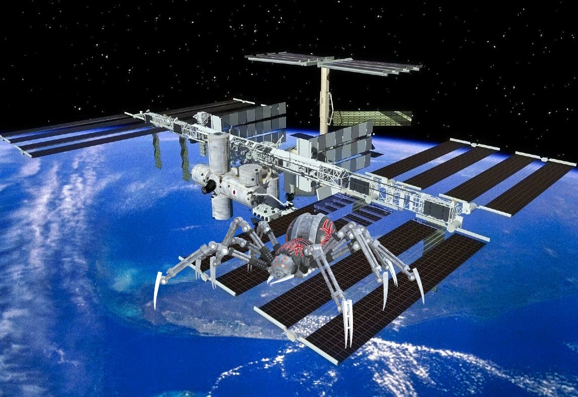 Spiders in Space? What Could Go Wrong? The Cosmic Companion