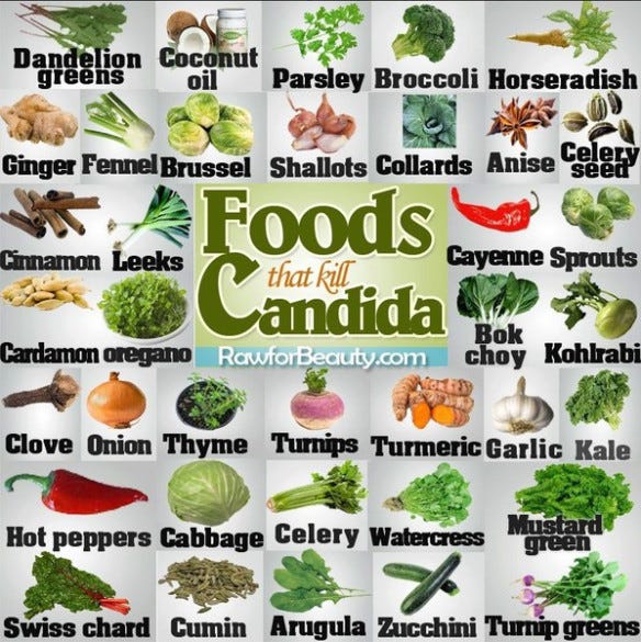 When Good Bacteria Turns Bad — How Candida Can Explain Your Mysterious