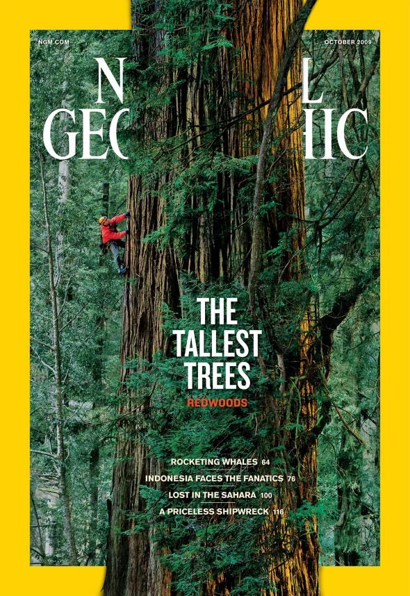 The most iconic “National Geographic” covers. by Marios Kapsis Medium