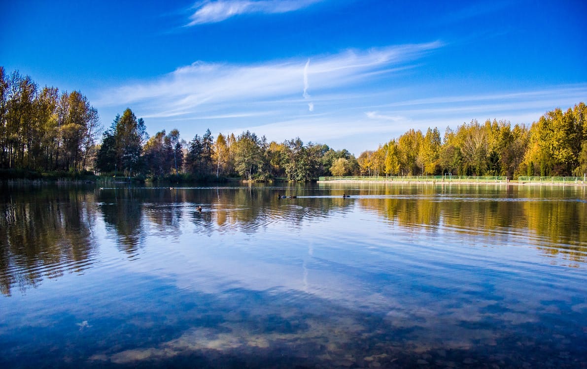 4 Freshwater Lakes to Drink Before Determining You’re Actually Hungry