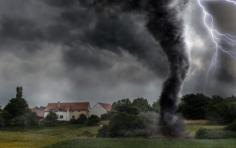 What Do You Do When A Tornado Hits? Doris Wheeler Medium