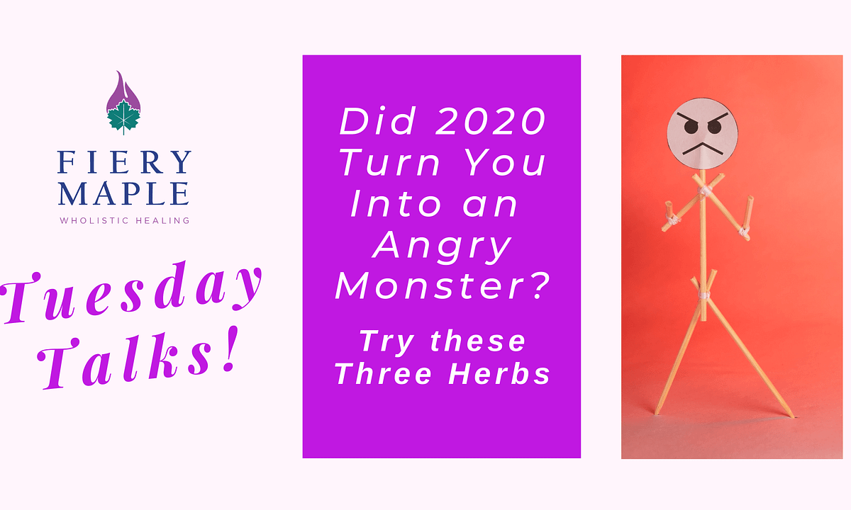Angry All The Time? Three Great Herbs That Can Help by Shalina Nicohl