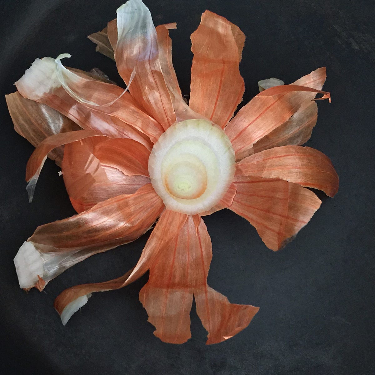 Top 5 Ways to Use Onion Skins in Your Food by Sharded In Fitness