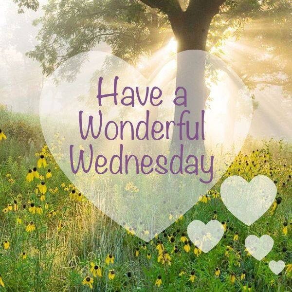 Happy Wednesday Quotes And SayingFacebook & Whatsapp Status by