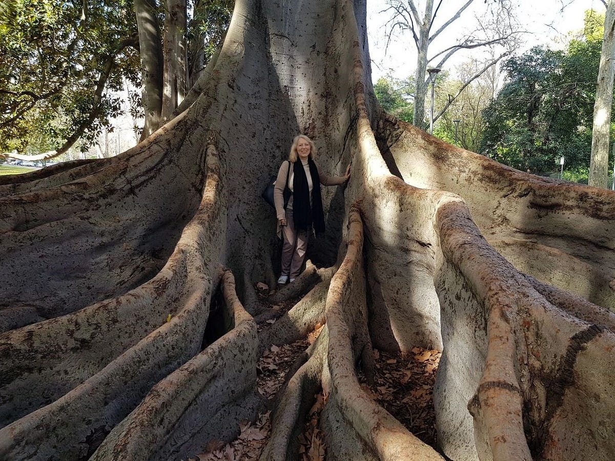 Don’t plant these in your garden. They grow into large plants. by