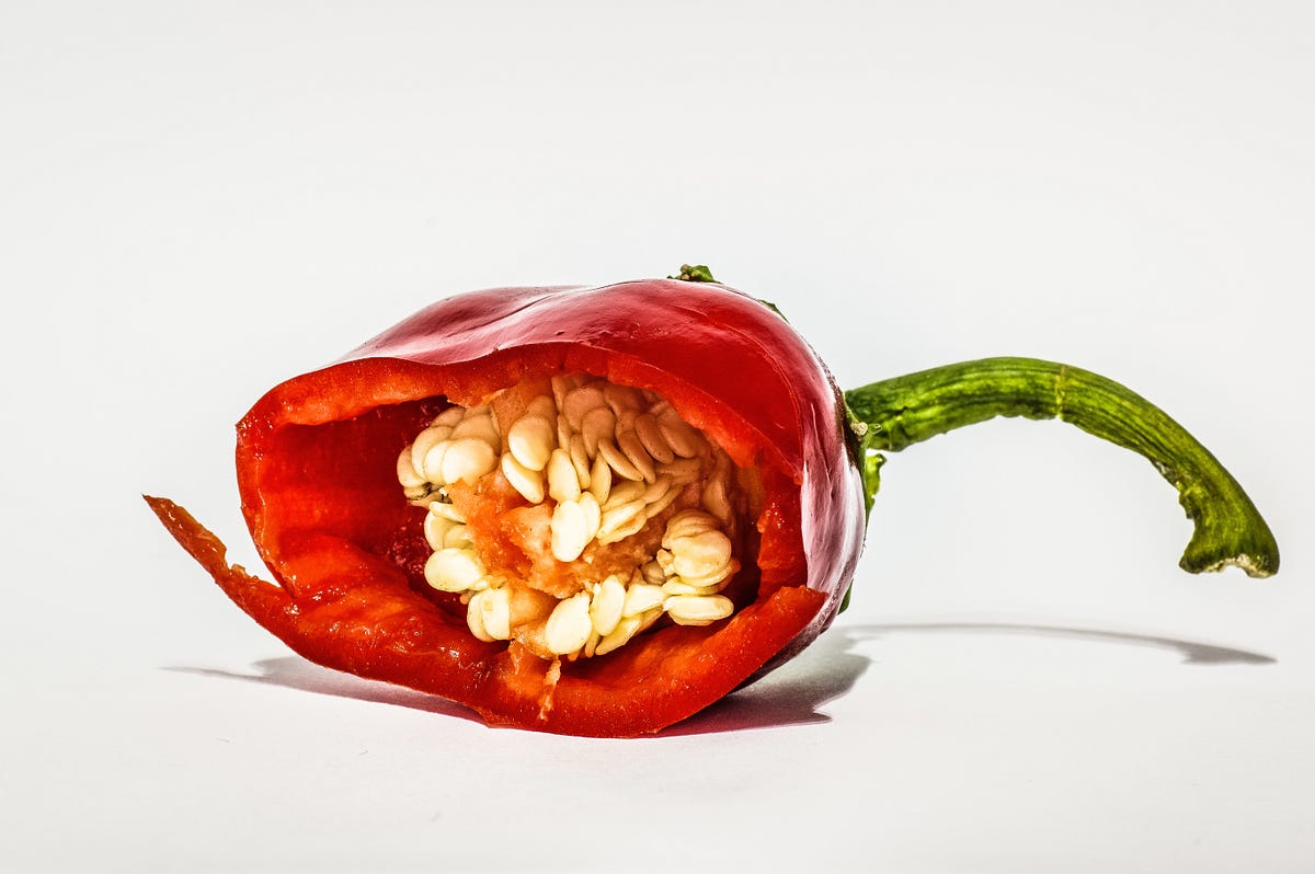Why Did Hot Peppers Evolve?. Why would a plant make fruit that it… by