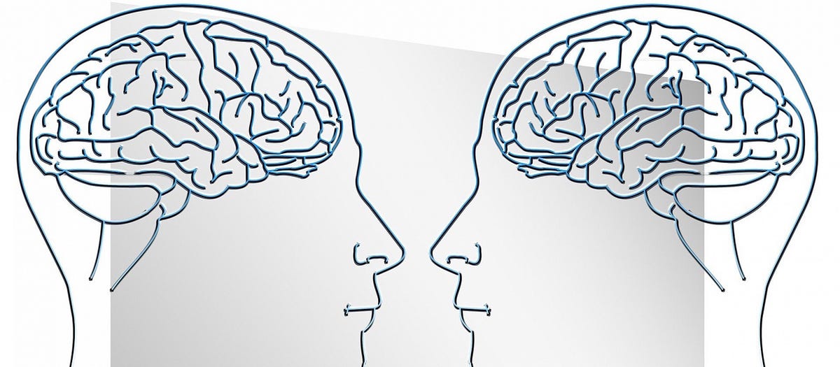 What causes Deja Vu? Medium