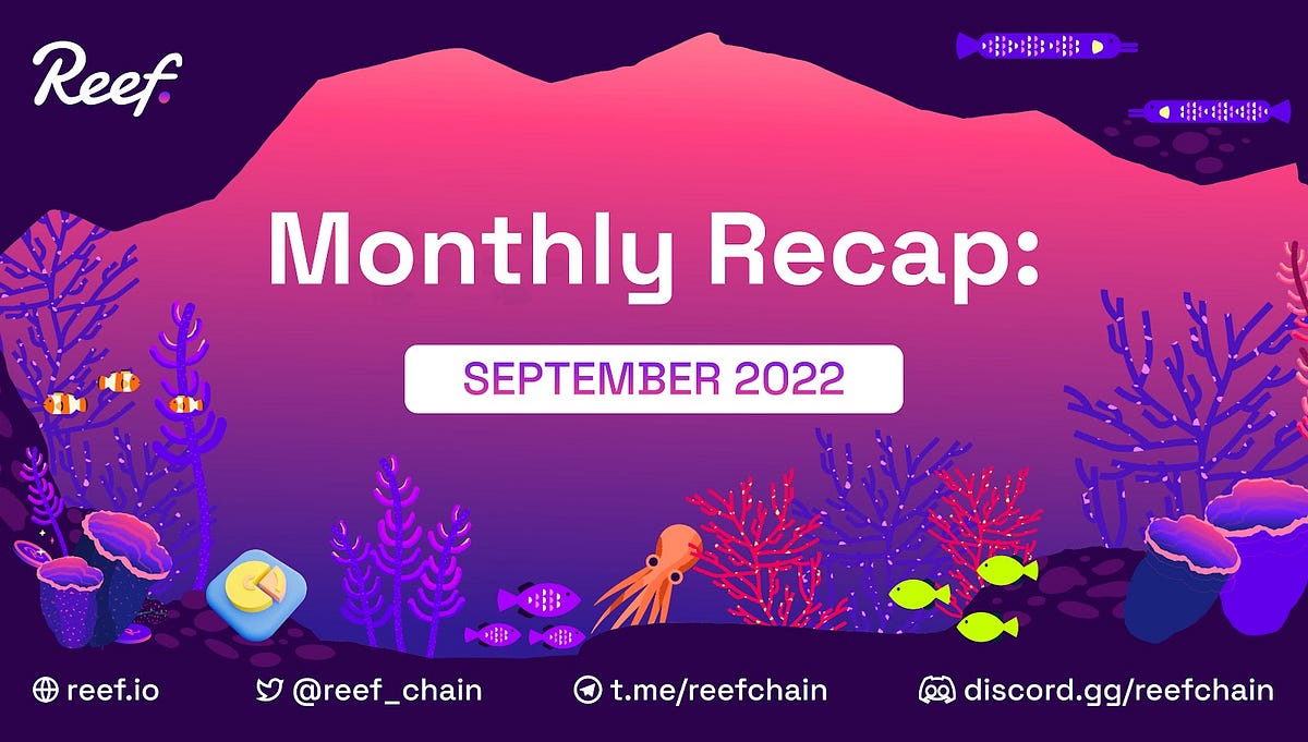 Reef September 2022 Recap From New Exchange Listings to Token2049 and more! by Reef Reef