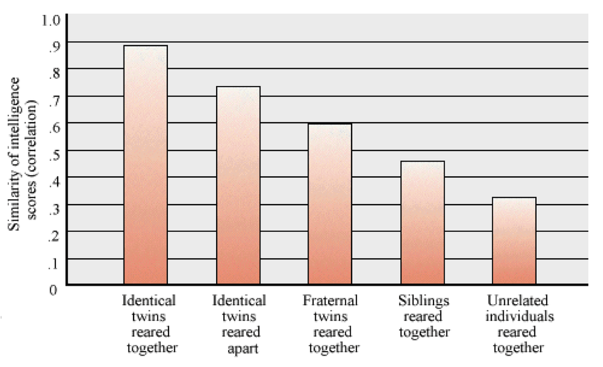 Twins Studies and how they are related with Genes vs Environment by KARLEE LAMB Medium
