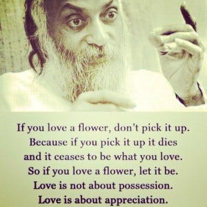 true love meaning quotes Love Quotes: Top 10 Meaningful Love Quotes That Represent True Love | By Lisa Han | Medium