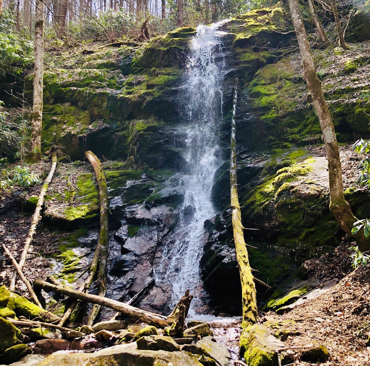 Little Fall Branch Falls. Little Fall Branch Falls is a waterfall… by Chris Muccio Medium