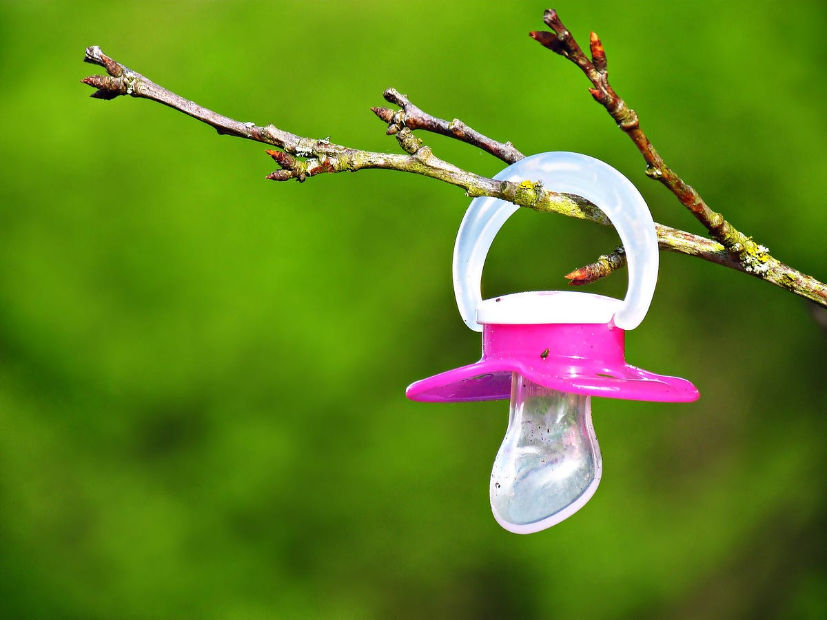 The Binky on the Branch. An Ode to the Pacifier Called… by Jenine