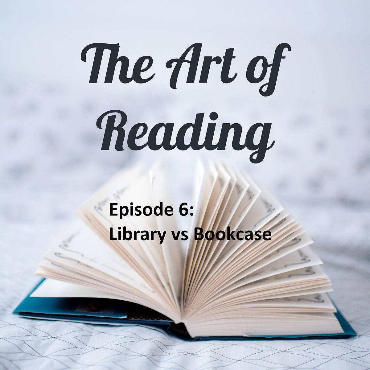 The Art of Reading — Part 6 Library vs Bookcase by Sertac Caglarca Nov, 2022 Medium