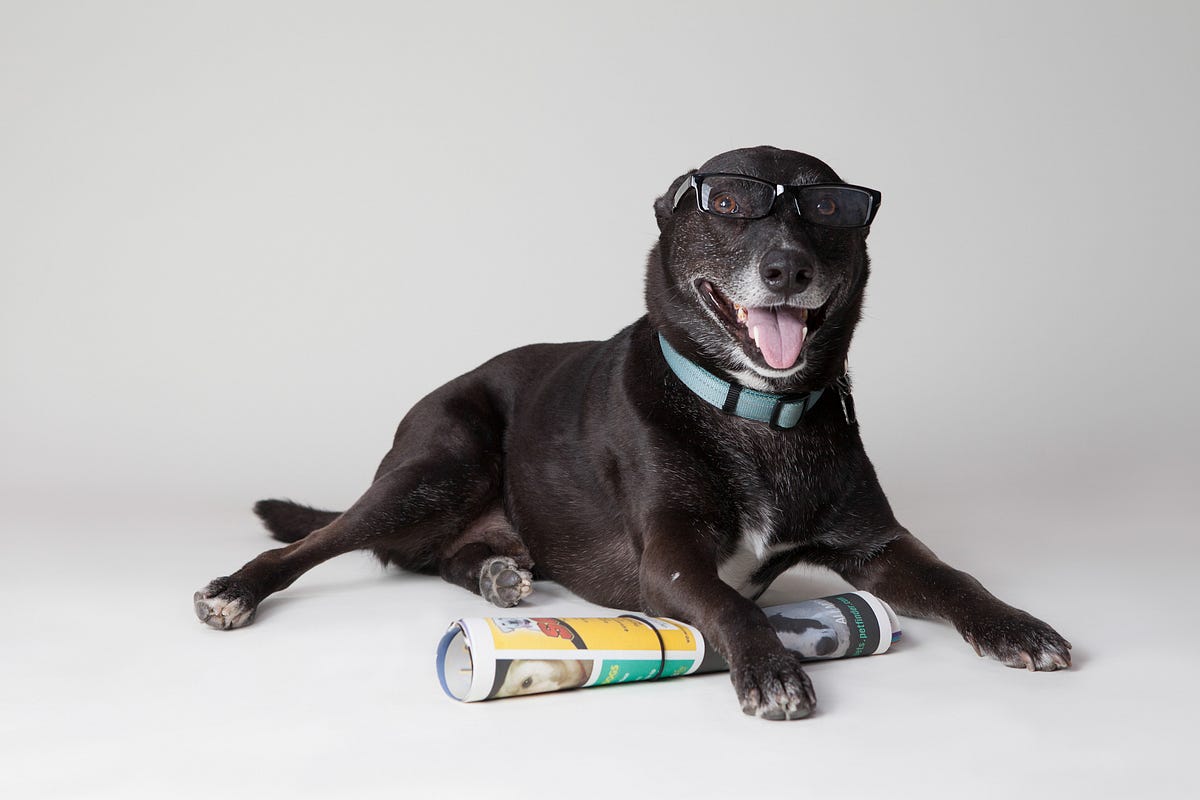 Books For Smart People 1, Antifragile Crush Life By Being