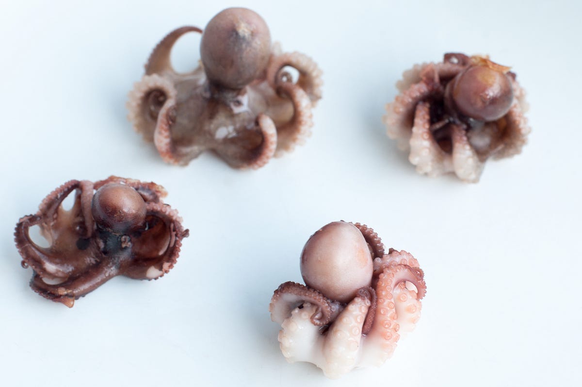 Eating Baby Octopus Legs So Fresh That They Moved In Our Mouths Was An Unusual Bonding