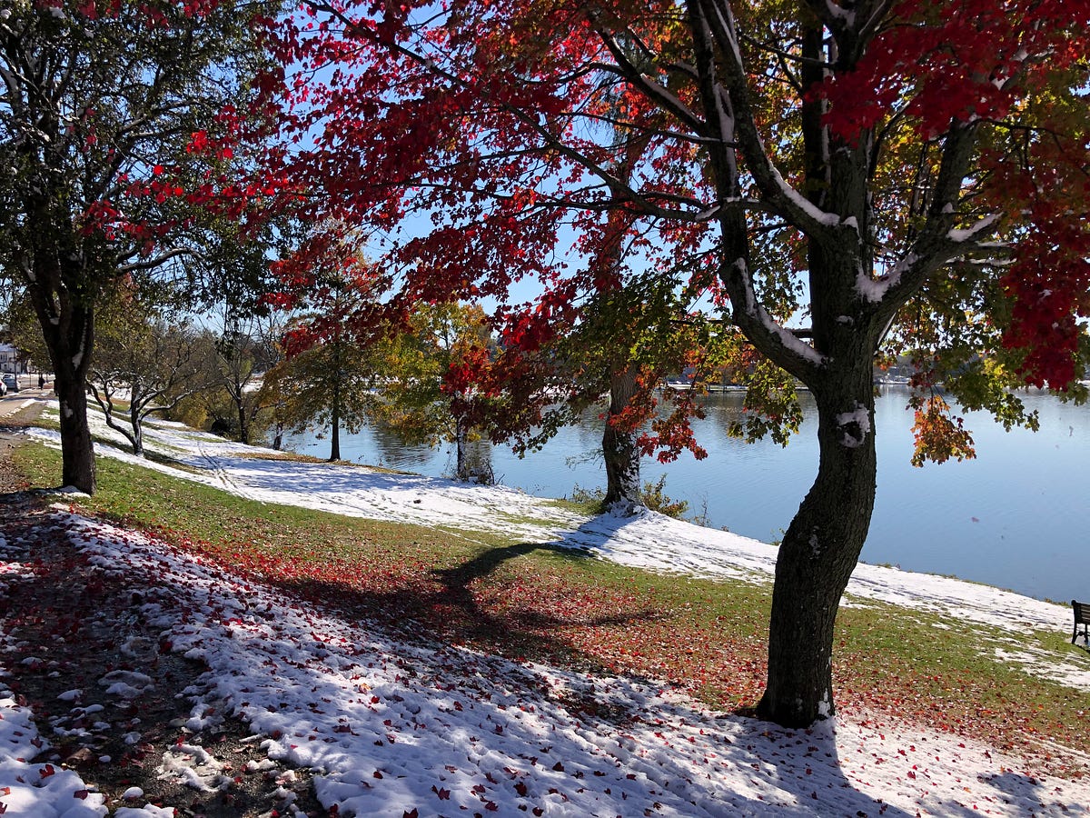 Lake Quannapowitt, a Natural Beauty by Gina Pacelli SNAPSHOTS Medium