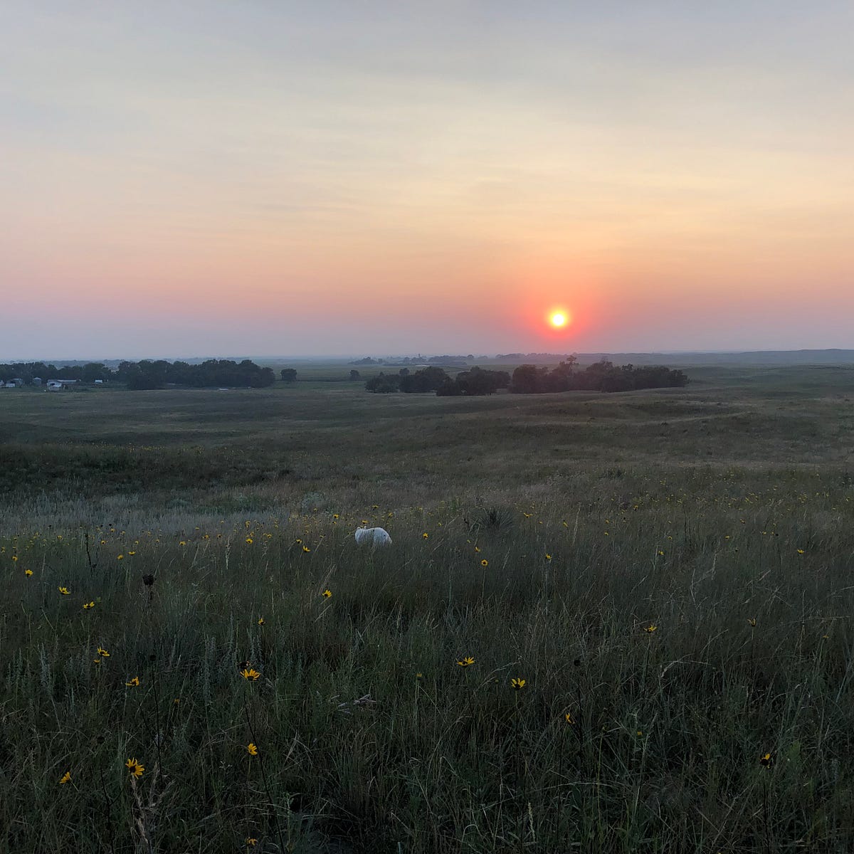 Prairie Sage and Smoke in the Nebraska Sandhills by Bart Schaneman