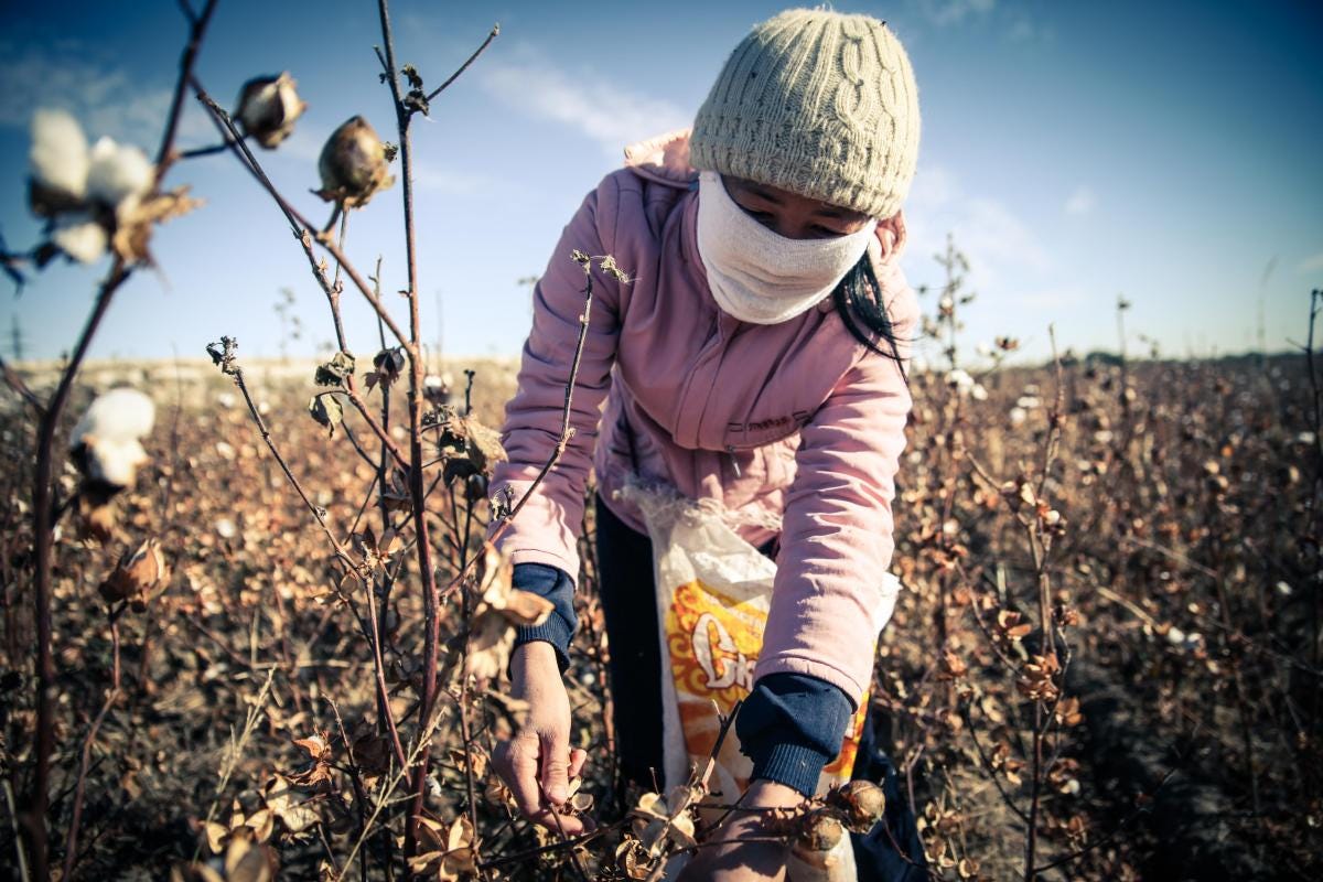Forced Labor and Human Rights Violations in the Cotton Forced Labor and Human Rights Violations in the Cotton