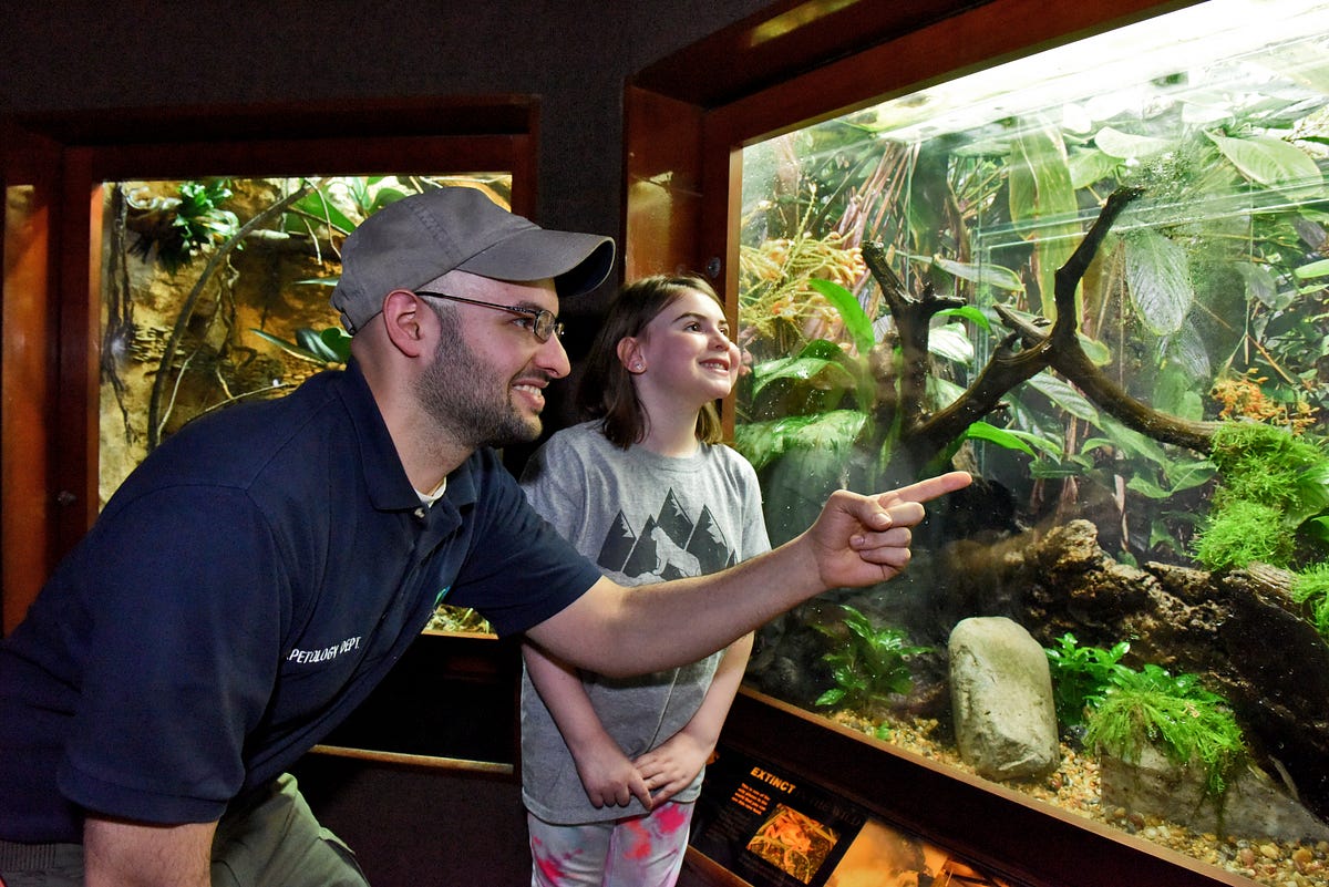 Extraordinary Days in the Reptile House by Wildlife Conservation