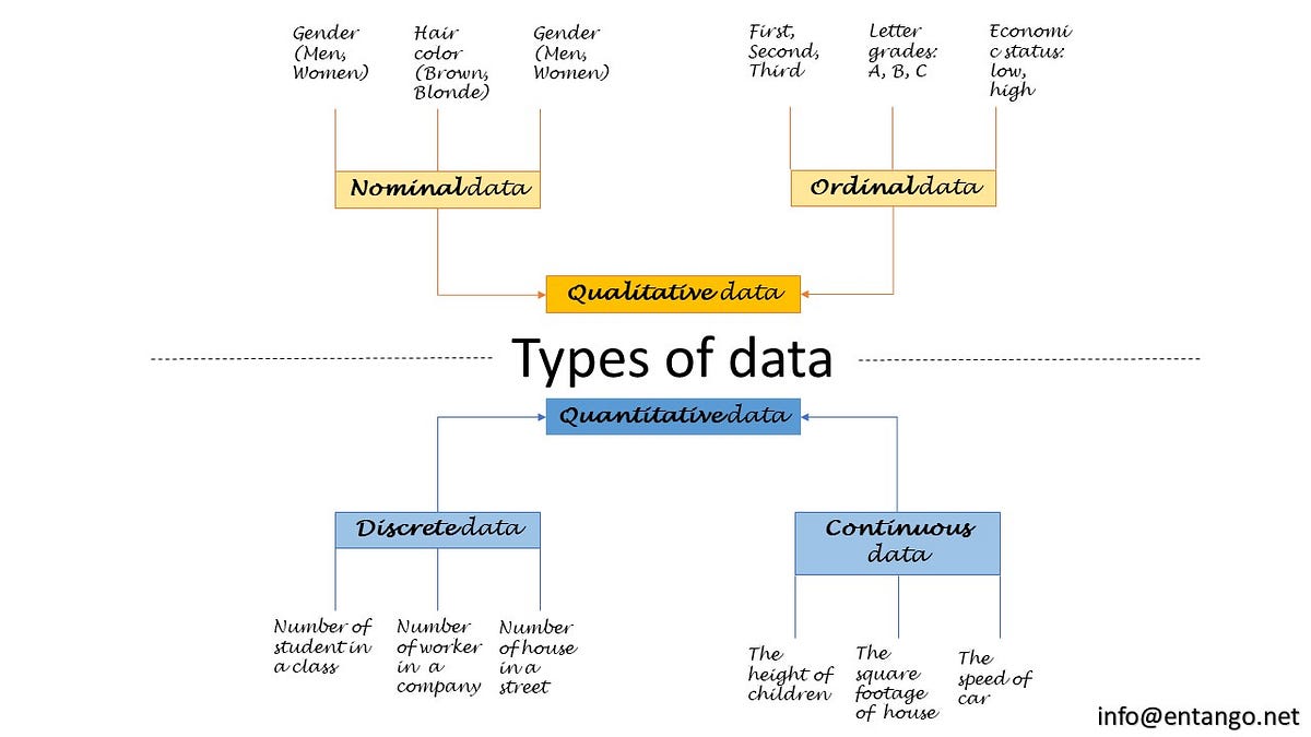 Understanding data types a key in data science by ENTANGO Medium