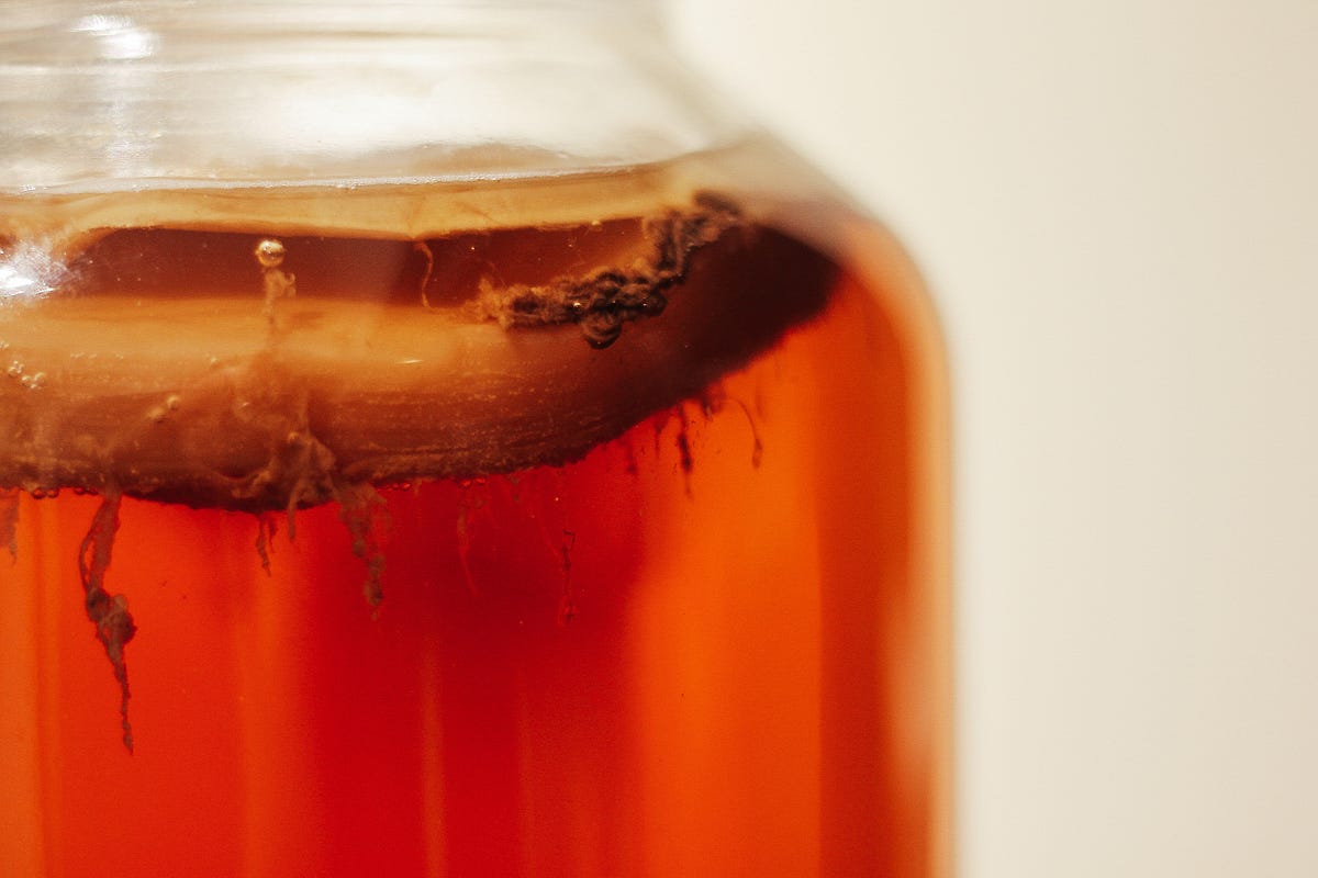 How Often Should You Drink Kombucha? by Susie Pinon Change Your
