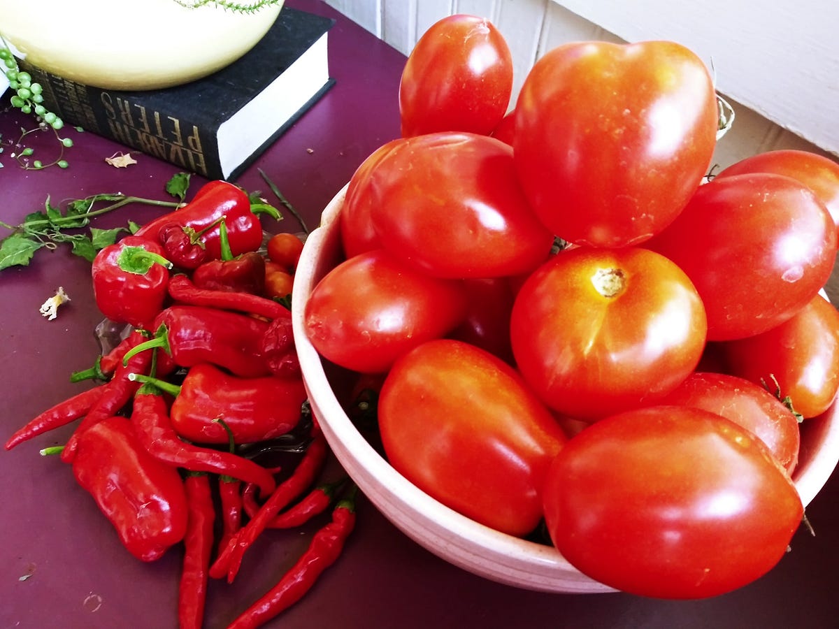 Simple sustainable practice, 11 — put green tomatoes in paper sacks to ripen. What do you do