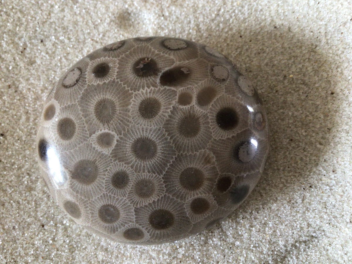 How to Polish Your Michigan Petoskey Stone by Tracy Stengel Medium