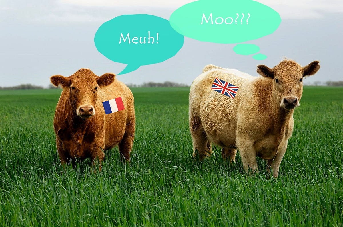 Do Cows go Meuh or Moo? Sound and Meaning in the English language by