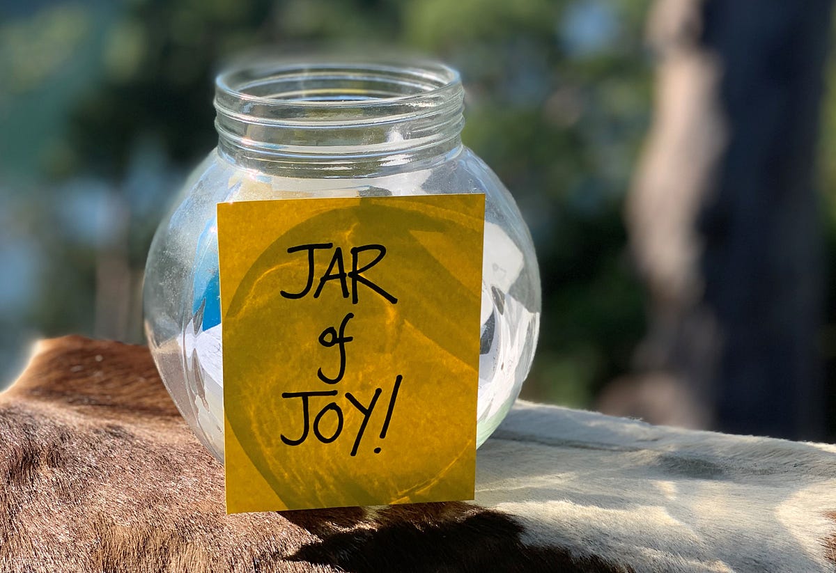 The Jar of Joy How to find out what makes you happy by robyn hayes