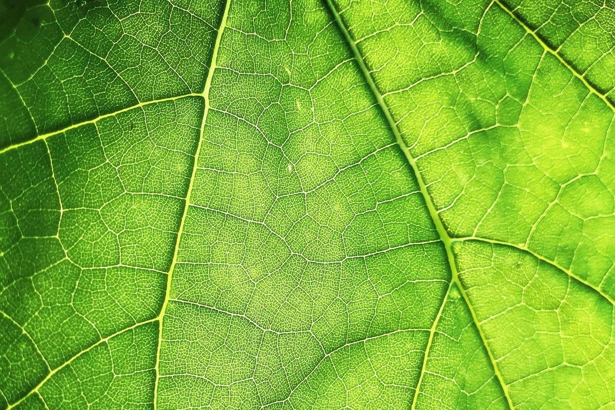 Spring Boot + Thymeleaf CRUD Example Dariawan by Dariawan Tech Medium