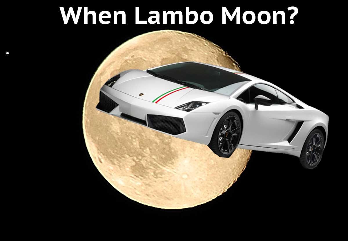 When Moon? When Lambo?. What Is A Rational Crypto Valuation Of… | By Patrick Cryptozoa | Cryptozoa