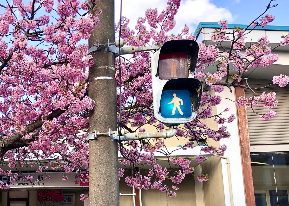 Why are Traffic Lights Blue in Japan? by DC Palter Japonica