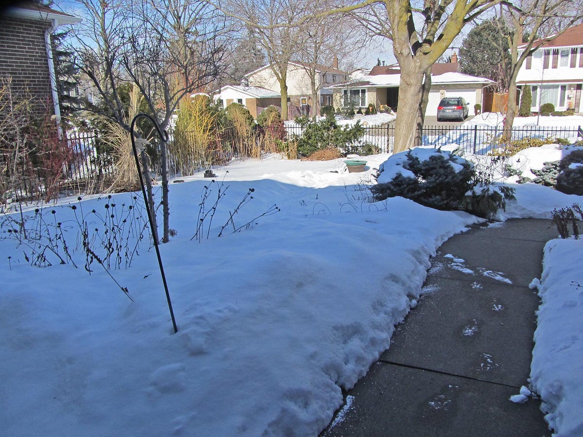 Spring Melt???. March 6 — it’s 20 C outside. I stick… by Louise