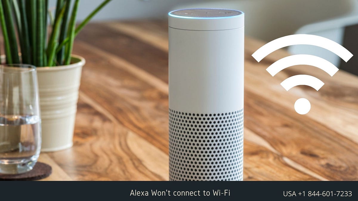 What is the main reason Alexa Won’t Connect to WiFi? by Mart William