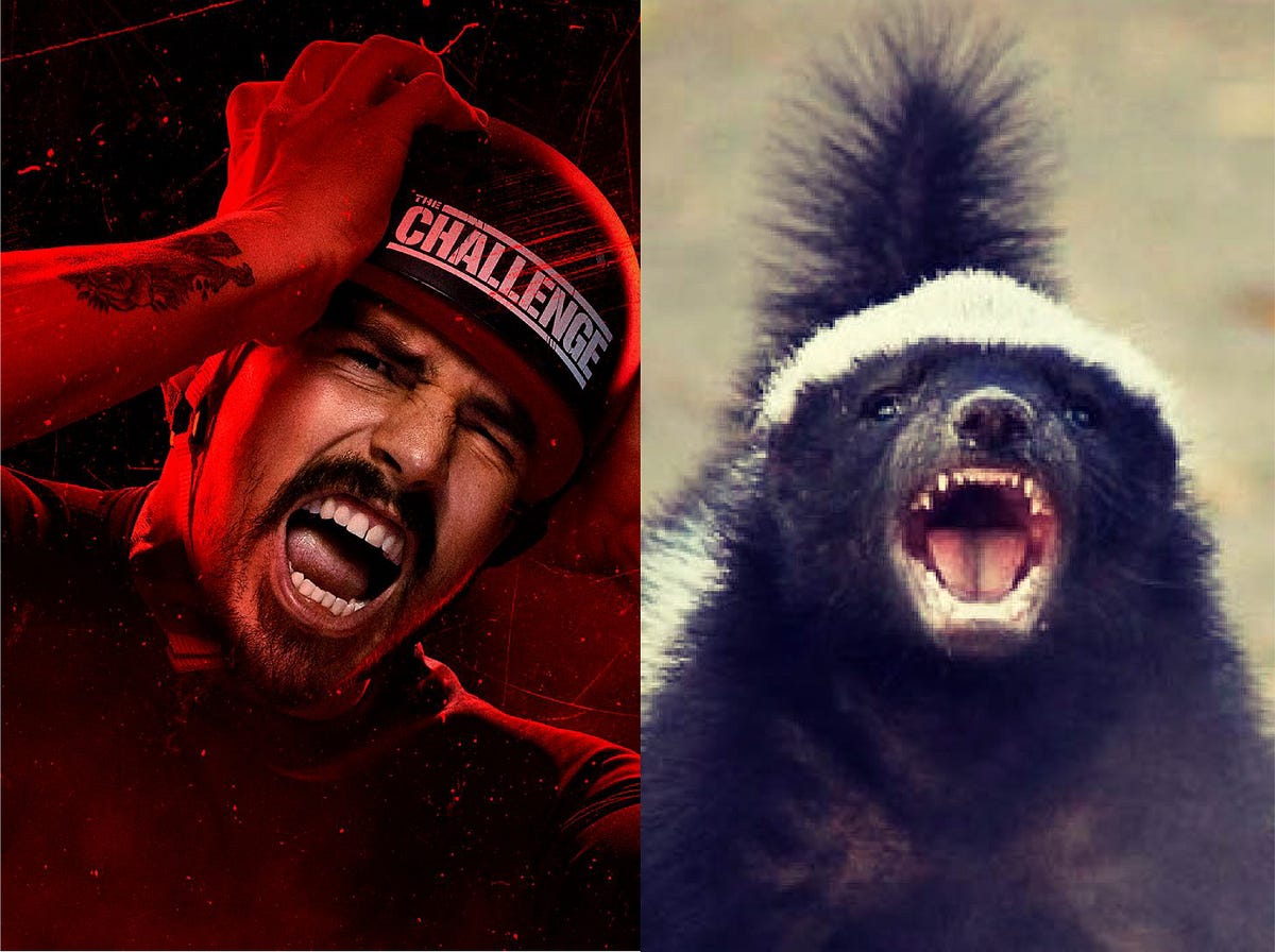 Let’s Compare Animals Edition — Jordan Wiseley and the