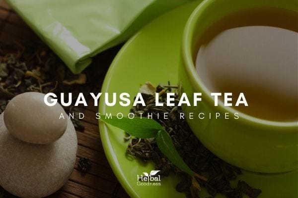 GUAYUSA LEAF TEA AND SMOOTHIE RECIPES HERBAL GOODNESS by Herbal