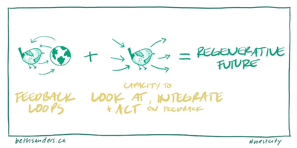 Regenerative City Circles. The new diagrams we use to describe our
