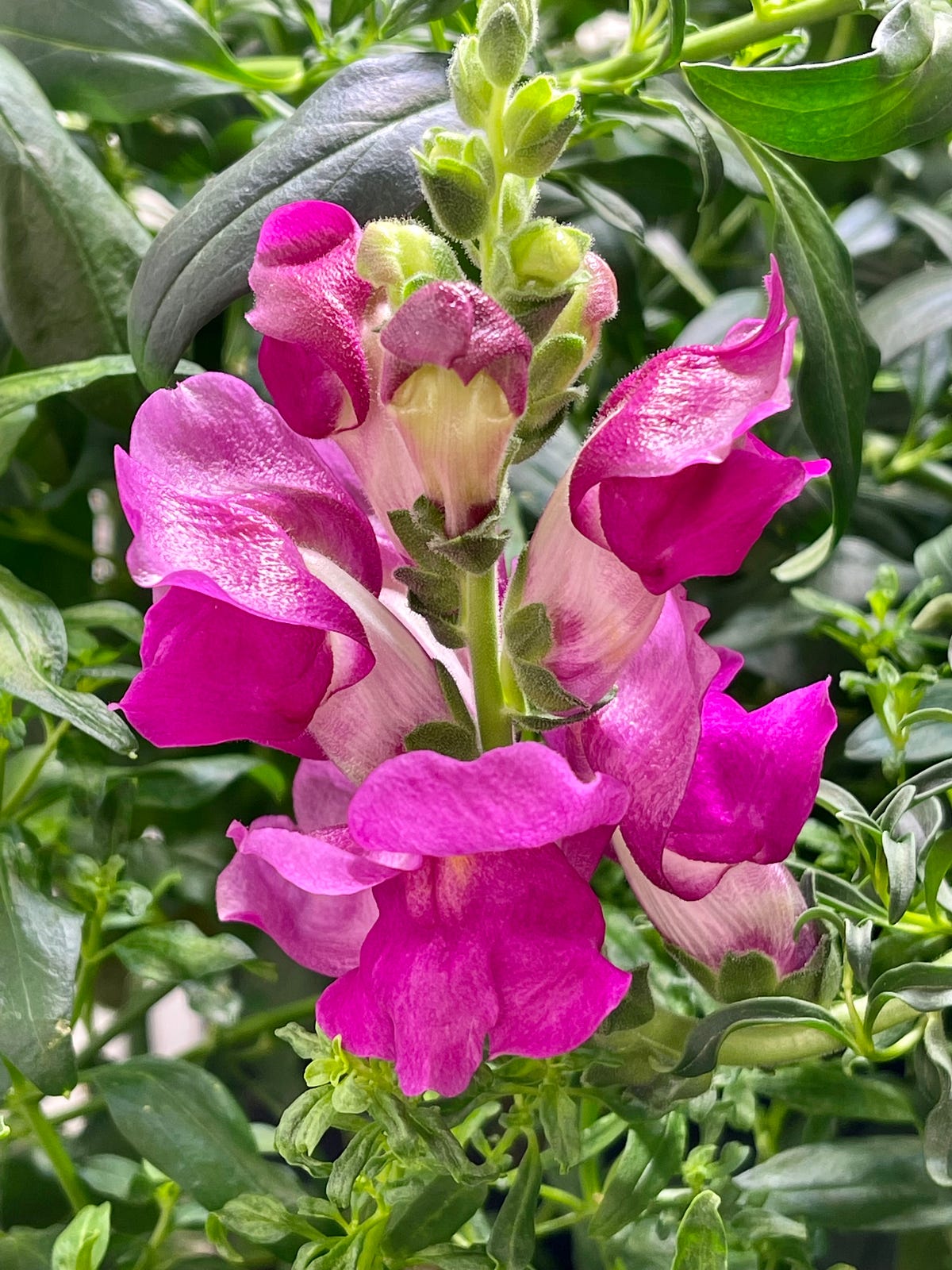 Flower Time. Work and Emails Done. by Dr John Frederick Rose