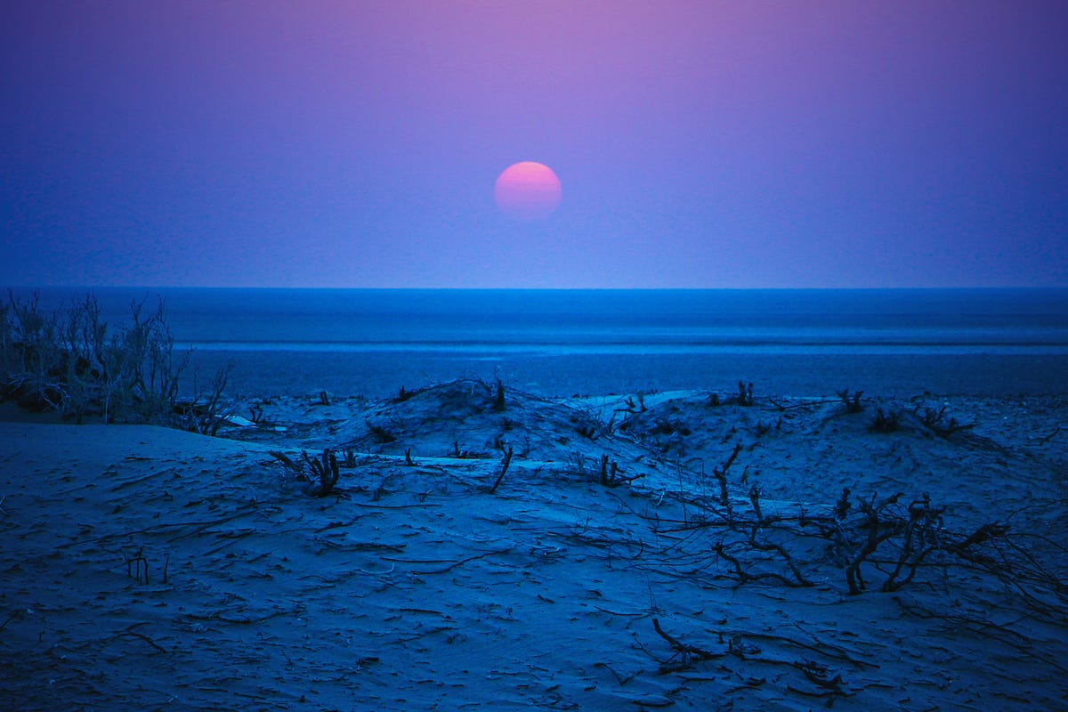 Flower On The Moon. Would you tell me when it’s over? by Ariane