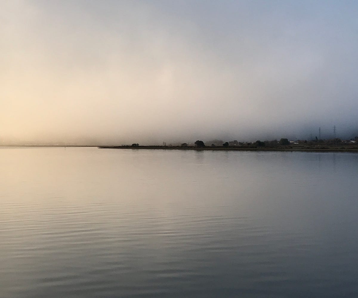 Shelter Bay . . .. Where I live by Patricia Ross Medium