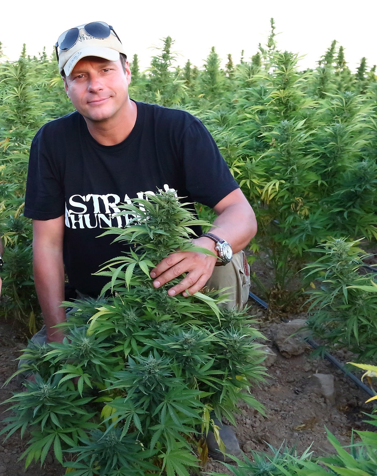 Who is the King of Cannabis?. “You might not know who Arjan Roskam