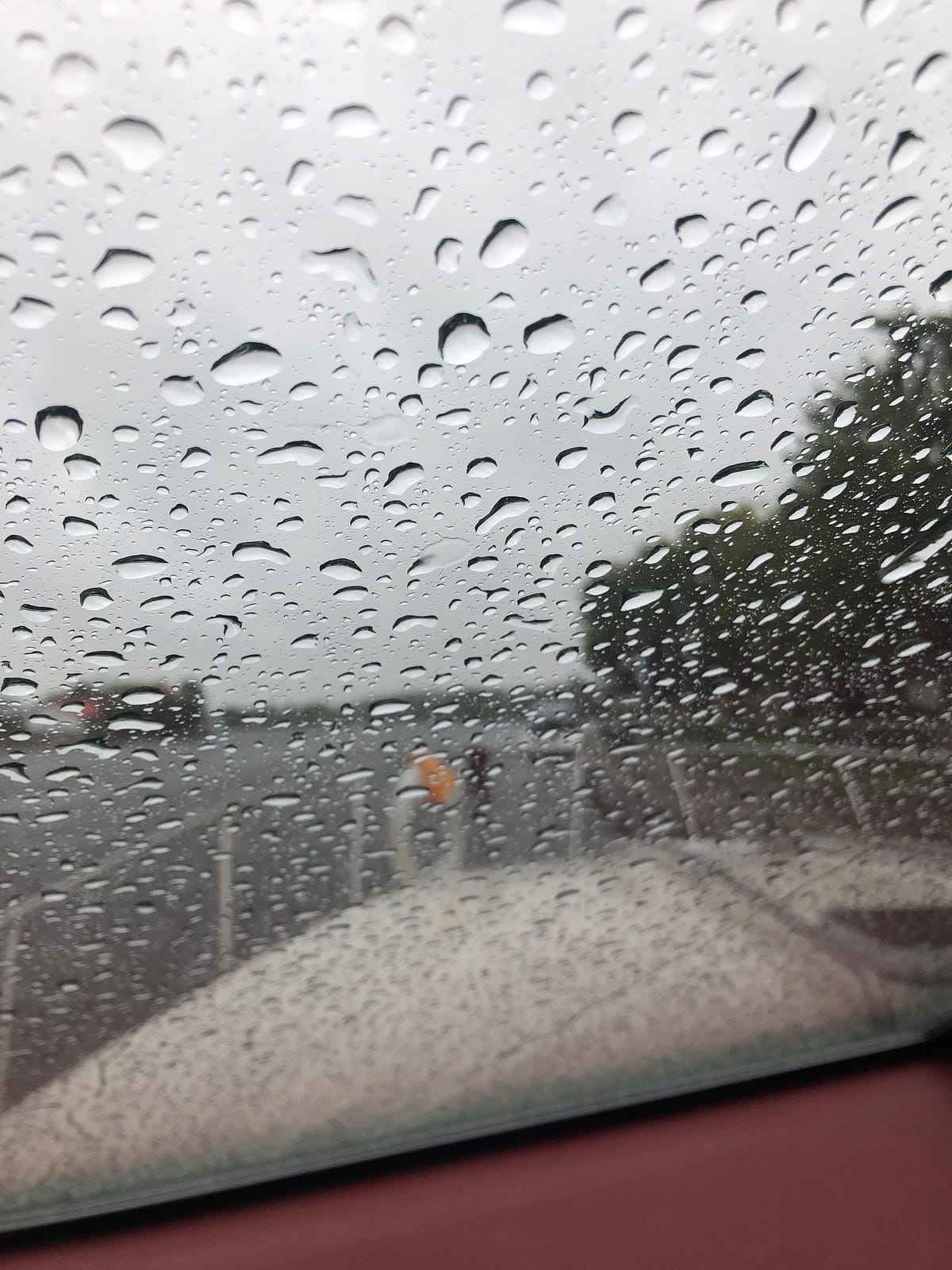 Still Day 5. The forecast is for rain all day so we… by Pam Gregory