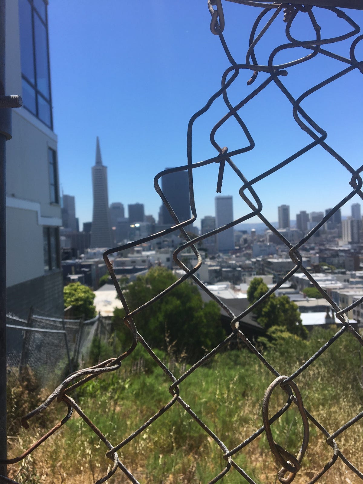 Trapped in the San Francisco Quagmire by Alissa Hirsh Craigslist