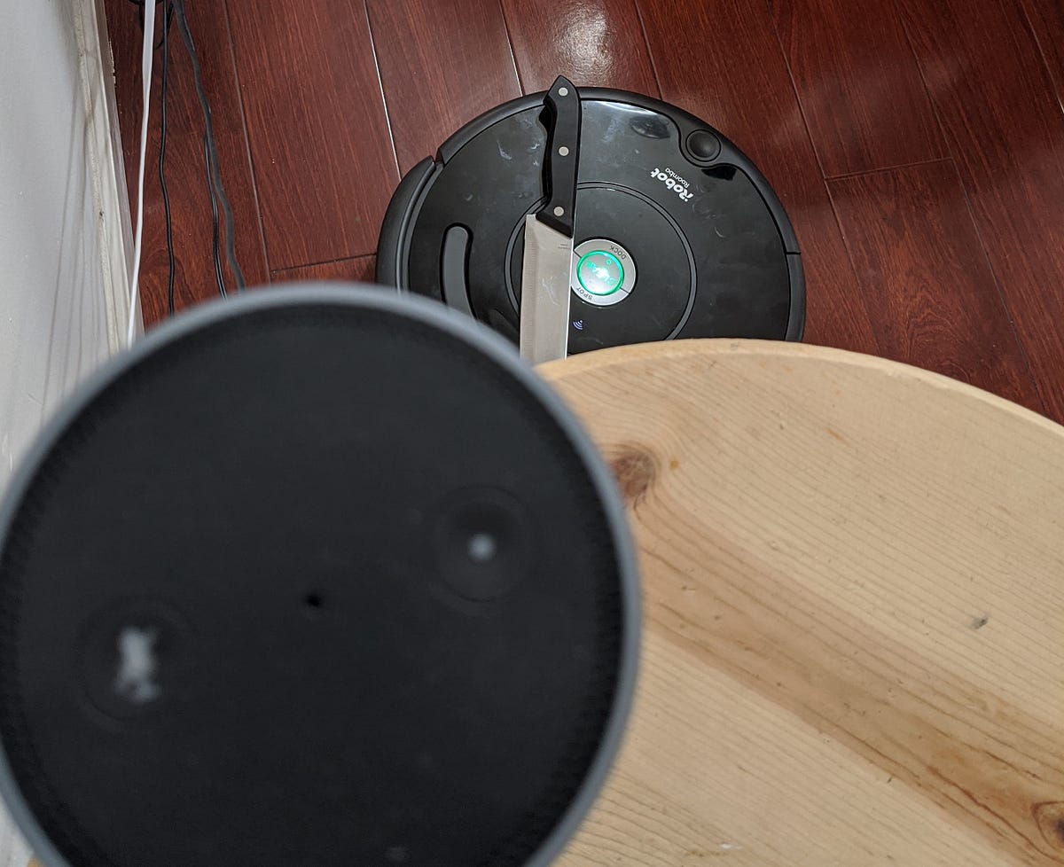 My Roomba tried to kill Alexa. On a normal day, Roomba gets stuck on a