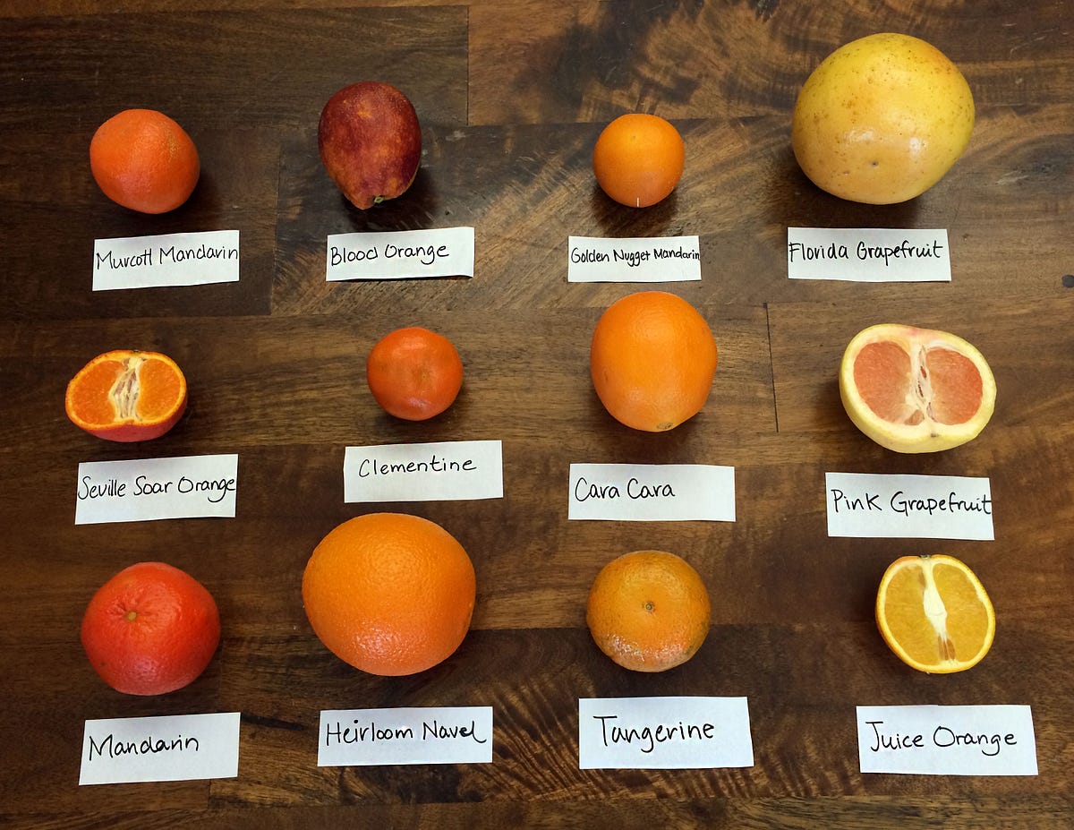 Mandarins And Clementines The Same Thing at Brandon Bernard blog
