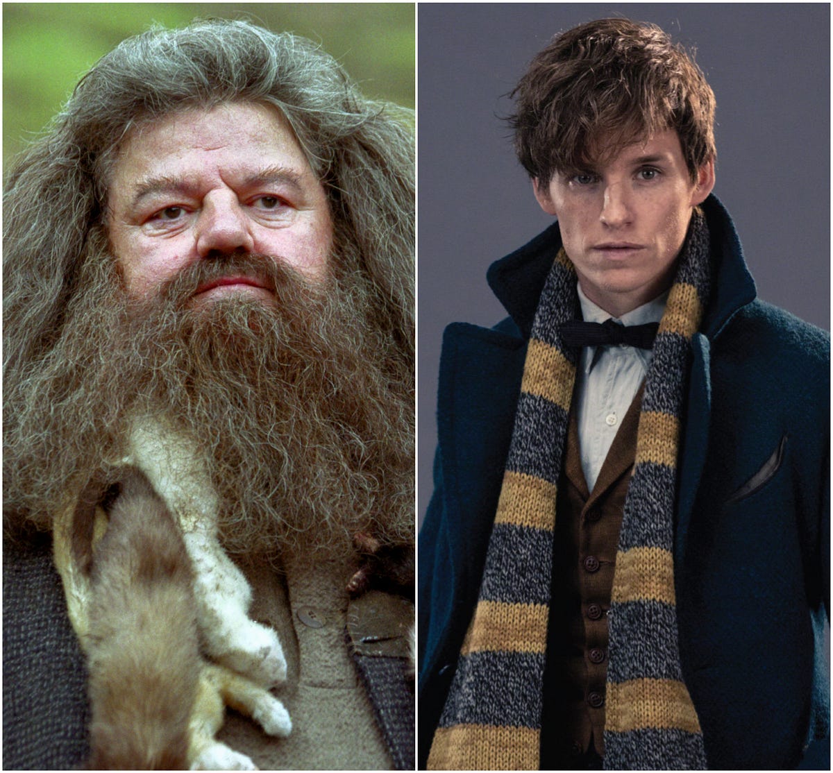 Could Newt Be Hagrid’s Father?. Let’s dive into a Harry Potter theory