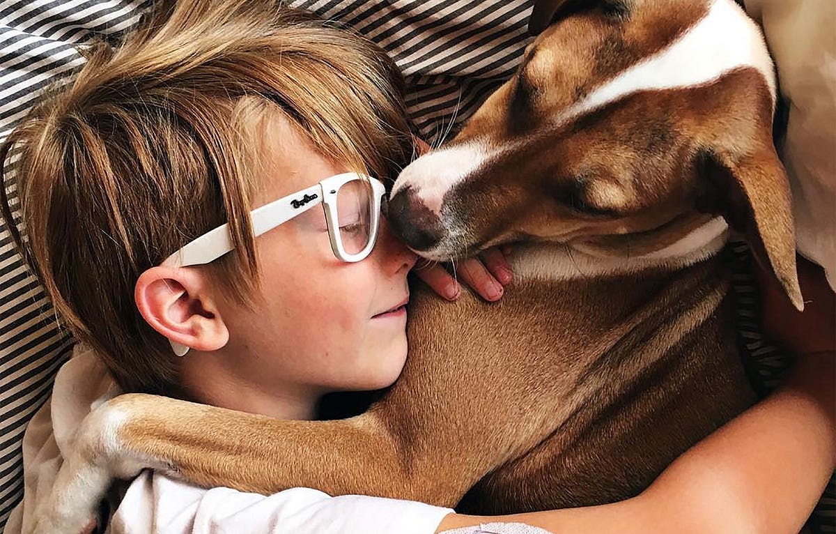 This Dog’s Nose Could Save My Son’s Life by K. Thor Jensen Dose
