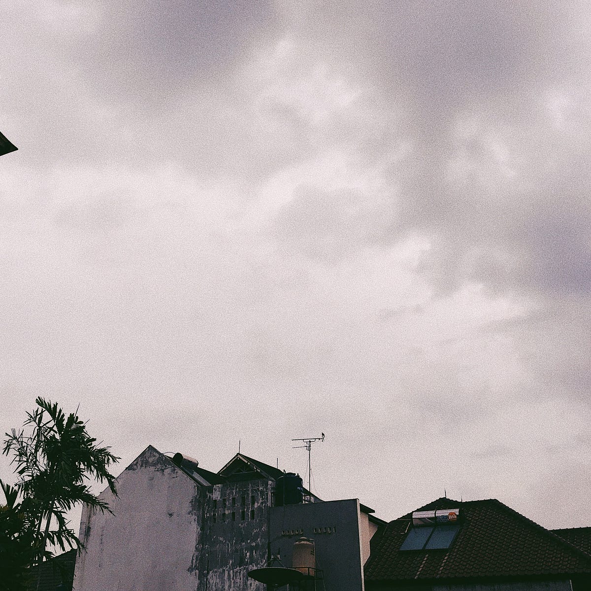 About The Grey Sky. Is it wrong? When I don't want the… by Herald