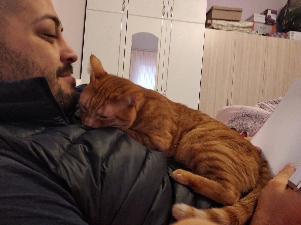My cat lays on my belly. There is nothing, that cats like more… by